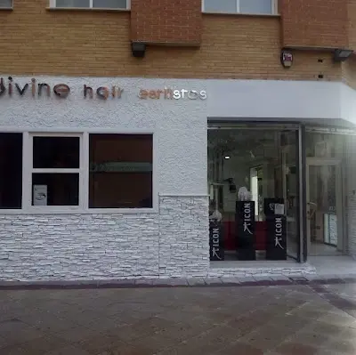 Divine Hair Estilistas — Peluquería en Elx