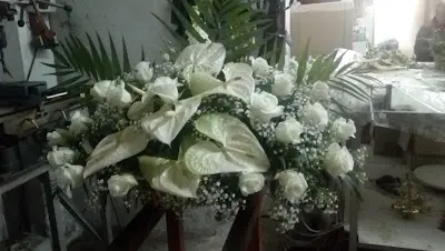 Morales Moreno, M. M. — Peluquería en Beniel