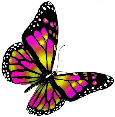 Mariposa Belleza Beauty & Nails — Peluquería en San Fulgencio