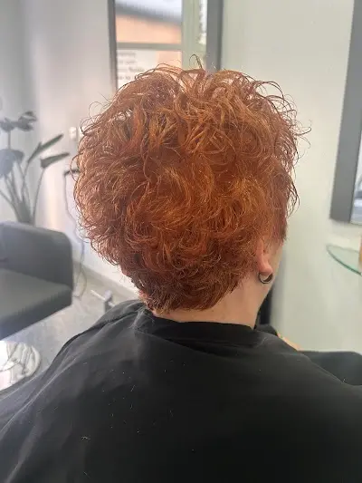 SALON FASHION — Peluquería en Novelda