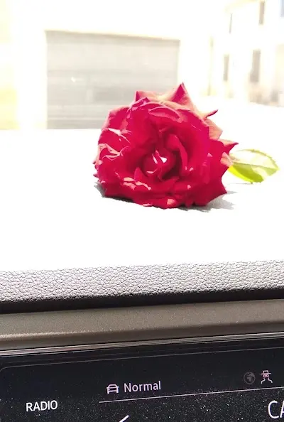 Noevic — Peluquería en Cehegín