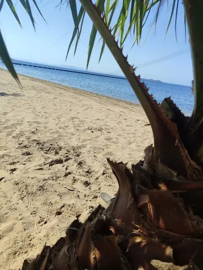 Peluquería Abril — Peluquería en La Unión