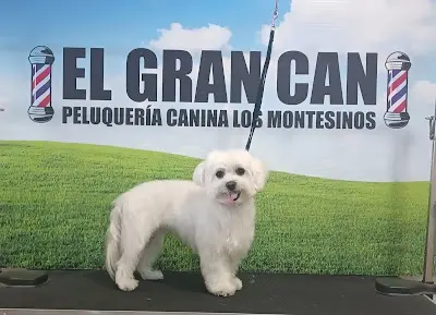 El Gran Can — Peluquería en Los Montesinos